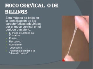 MOCO CERVICAL o de
Billings
Este método se basa en
la identificación de las
características adquiridas
por el moco cervical en el
periodo ovulatorio.
   El moco ovulatorio es:
    Cristalino
   Elástico
   Resbaloso
   Abundante
    Lubricante
    Apariencia similar a la
    "clara de huevo"
 