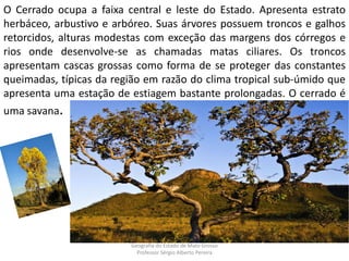 O Cerrado ocupa a faixa central e leste do Estado. Apresenta estrato
herbáceo, arbustivo e arbóreo. Suas árvores possuem troncos e galhos
retorcidos, alturas modestas com exceção das margens dos córregos e
rios onde desenvolve-se as chamadas matas ciliares. Os troncos
apresentam cascas grossas como forma de se proteger das constantes
queimadas, típicas da região em razão do clima tropical sub-úmido que
apresenta uma estação de estiagem bastante prolongadas. O cerrado é
uma savana.
Geografia do Estado de Mato Grosso
Professor Sérgio Alberto Pereira
 