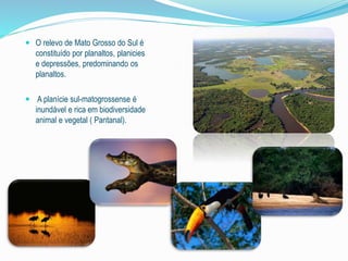  O relevo de Mato Grosso do Sul é 
constituído por planaltos, planicies 
e depressões, predominando os 
planaltos. 
 A planície sul-matogrossense é 
inundável e rica em biodiversidade 
animal e vegetal ( Pantanal). 
 