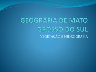 VEGETAÇÃO E HIDROGRAFIA 
 