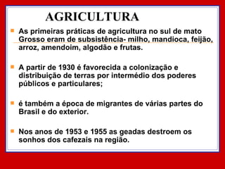 AGRICULTURA As primeiras práticas de agricultura no sul de mato Grosso eram de subsistência- milho, mandioca, feijão, arroz, amendoim, algodão e frutas. A partir de 1930 é favorecida a colonização e distribuição de terras por intermédio dos poderes públicos e particulares;  é também a época de migrantes de várias partes do Brasil e do exterior.  Nos anos de 1953 e 1955 as geadas destroem os sonhos dos cafezais na região. 