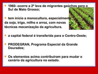 1960- ocorre a 2ª leva de migrantes gaúchos para o Sul de Mato Grosso; tem início a monocultura, especialmente  da soja, trigo, milho e arroz, com novas  técnicas mecanização da agricultura. a capital federal é transferida para o Centro-Oeste; PRODEGRAN, Programa Especial da Grande Dourados; Os elementos acima contribuíram para mudar o cenário da agricultura no estado. 