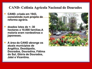 CAND- Colônia Agrícola Nacional de Dourados CAND- criada em 1943, consistindo num projeto de reforma agrária.  doados lotes de +- 30 hectares a 10.000 famílias.A maioria eram nordestinos e japoneses.  A área da CAND abrange os atuais municípios de Angélica, Deodápolis, Dourados, Douradina, Fátima do Sul, Glória de Dourados, Jateí e Vicentina. 