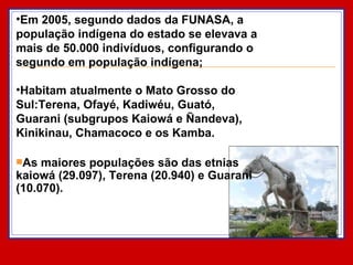 Em 2005, segundo dados da FUNASA, a população indígena do estado se elevava a mais de 50.000 indivíduos, configurando o segundo em população indígena; Habitam atualmente o Mato Grosso do Sul:Terena, Ofayé, Kadiwéu, Guató, Guarani (subgrupos Kaiowá e Ñandeva), Kinikinau, Chamacoco e os Kamba. As maiores populações são das etnias kaiowá (29.097), Terena (20.940) e Guarani (10.070).  