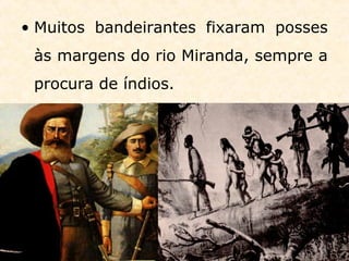 • Muitos bandeirantes fixaram posses
às margens do rio Miranda, sempre a
procura de índios.
 