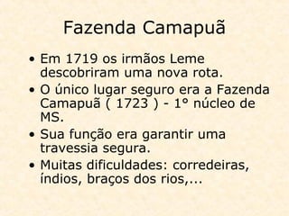 Fazenda Camapuã
• Em 1719 os irmãos Leme
descobriram uma nova rota.
• O único lugar seguro era a Fazenda
Camapuã ( 1723 ) - 1° núcleo de
MS.
• Sua função era garantir uma
travessia segura.
• Muitas dificuldades: corredeiras,
índios, braços dos rios,...
 