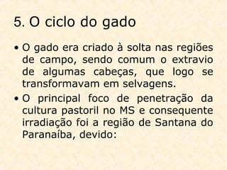 5. O ciclo do gado
• O gado era criado à solta nas regiões
de campo, sendo comum o extravio
de algumas cabeças, que logo se
transformavam em selvagens.
• O principal foco de penetração da
cultura pastoril no MS e consequente
irradiação foi a região de Santana do
Paranaíba, devido:
 