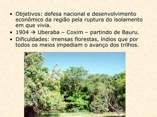 • Objetivos: defesa nacional e desenvolvimento
econômico da região pela ruptura do isolamento
em que vivia.
• 1904  Uberaba – Coxim – partindo de Bauru.
• Dificuldades: imensas florestas, índios que por
todos os meios impediam o avanço dos trilhos.
 