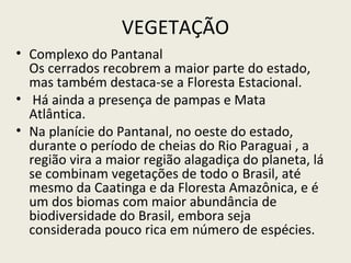 VEGETAÇÃO
• Complexo do Pantanal
Os cerrados recobrem a maior parte do estado,
mas também destaca-se a Floresta Estacional.
• Há ainda a presença de pampas e Mata
Atlântica.
• Na planície do Pantanal, no oeste do estado,
durante o período de cheias do Rio Paraguai , a
região vira a maior região alagadiça do planeta, lá
se combinam vegetações de todo o Brasil, até
mesmo da Caatinga e da Floresta Amazônica, e é
um dos biomas com maior abundância de
biodiversidade do Brasil, embora seja
considerada pouco rica em número de espécies.
 