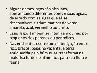 • Alguns desses lagos são alcalinos,
apresentando diferentes cores e suas águas,
de acordo com as algas que ali se
desenvolvem e criam matizes de verde,
amarelo, azul, vermelho ou preto.
• Esses lagos também se interligam ou não por
pequenos rios perenes ou periódicos.
• Nas enchentes ocorre uma interligação entre
rios, braços, baías na vazante, a terra
enriquecida pelo húmus, se transforma na
mais rica fonte de alimentos para sua flora e
fauna.
 