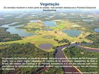 Pantanal, o maior ecossistema do estado. Na planície do Pantanal, no oeste do estado, durante o período de cheias do Rio Paraguai a região vira a maior região alagadiça do planeta, lá se combinam vegetações de todo o Brasil, até mesmo da Caatinga e da Floresta Amazônica, e é um dos biomas com maior abundância de biodiversidade do Brasil, embora seja considerada pouco rica em número de espécies. Vegetação Os cerrados recobrem a maior parte do estado, mas também destaca-se a Floresta Estacional Semidecidual. 