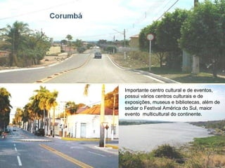 Importante centro cultural e de eventos,  possui vários centros culturais e de exposições, museus e bibliotecas, além de sediar o Festival América do Sul, maior evento  multicultural do continente. 