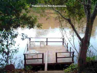 Pesqueiro no Rio Aquidauana 