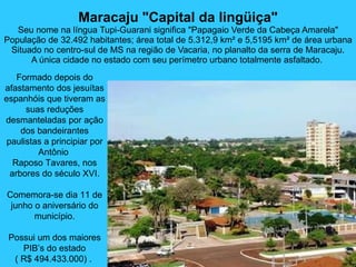 Maracaju "Capital da lingüiça" Seu nome na língua Tupi-Guarani significa "Papagaio Verde da Cabeça Amarela" População de 32.492 habitantes; área total de 5.312,9 km² e 5,5195 km² de área urbana Situado no centro-sul de MS na região de Vacaria, no planalto da serra de Maracaju. A única cidade no estado com seu perímetro urbano totalmente asfaltado.  Formado depois do afastamento dos jesuítas espanhóis que tiveram as suas reduções desmanteladas por ação dos bandeirantes paulistas a principiar por Antônio  Raposo Tavares, nos arbores do século XVI. Comemora-se dia 11 de junho o aniversário do município. Possui um dos maiores PIB’s do estado ( R$ 494.433.000) .  