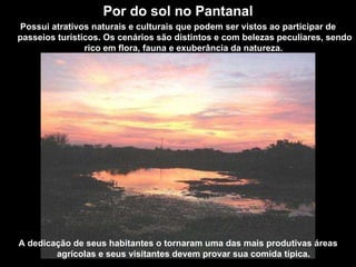 Por do sol no Pantanal Possui atrativos naturais e culturais que podem ser vistos ao participar de passeios turísticos. Os cenários são distintos e com belezas peculiares, sendo rico em flora, fauna e exuberância da natureza.  A dedicação de seus habitantes o tornaram uma das mais produtivas áreas agrícolas e seus visitantes devem provar sua comida típica.  