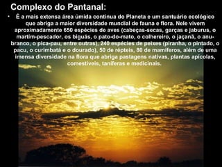 Complexo do Pantanal:  É a mais extensa área úmida contínua do Planeta e um santuário ecológico que abriga a maior diversidade mundial de fauna e flora. Nele vivem aproximadamente 650 espécies de aves (cabeças-secas, garças e jaburus, o martim-pescador, os biguás, o pato-do-mato, o colhereiro, o jaçanã, o anu-branco, o pica-pau, entre outras), 240 espécies de peixes (piranha, o pintado, o pacu, o curimbatá e o dourado), 50 de répteis, 80 de mamíferos, além de uma imensa diversidade na flora que abriga pastagens nativas, plantas apícolas, comestíveis, taníferas e medicinais.  