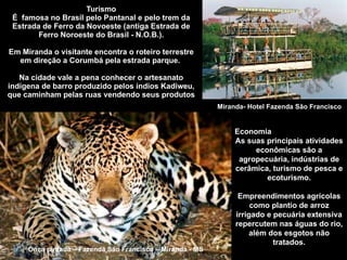 Turismo É  famosa no Brasil pelo Pantanal e pelo trem da Estrada de Ferro da Novoeste (antiga Estrada de Ferro Noroeste do Brasil - N.O.B.). Em Miranda o visitante encontra o roteiro terrestre em direção a Corumbá pela estrada parque.  Na cidade vale a pena conhecer o artesanato indígena de barro produzido pelos índios Kadiweu, que caminham pelas ruas vendendo seus produtos Miranda- Hotel Fazenda São Francisco Onça pintada – Fazenda São Francisco – Miranda - MS Economia As suas principais atividades econômicas são a agropecuária, indústrias de cerâmica, turismo de pesca e ecoturismo. Empreendimentos agrícolas como plantio de arroz irrigado e pecuária extensiva repercutem nas águas do rio, além dos esgotos não tratados. 