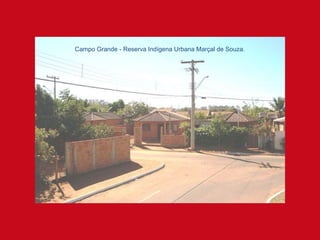 Campo Grande - Reserva Indígena Urbana Marçal de Souza.
 