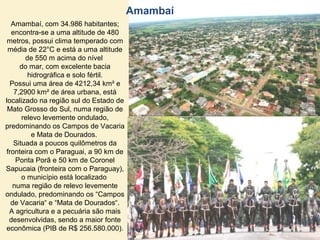 Amambaí, com 34.986 habitantes;
encontra-se a uma altitude de 480
metros, possui clima temperado com
média de 22°C e está a uma altitude
de 550 m acima do nível
do mar, com excelente bacia
hidrográfica e solo fértil.
Possui uma área de 4212,34 km² e
7,2900 km² de área urbana, está
localizado na região sul do Estado de
Mato Grosso do Sul, numa região de
relevo levemente ondulado,
predominando os Campos de Vacaria
e Mata de Dourados.
Situada a poucos quilômetros da
fronteira com o Paraguai, a 90 km de
Ponta Porã e 50 km de Coronel
Sapucaia (fronteira com o Paraguay),
o município está localizado
numa região de relevo levemente
ondulado, predominando os “Campos
de Vacaria“ e “Mata de Dourados“.
A agricultura e a pecuária são mais
desenvolvidas, sendo a maior fonte
econômica (PIB de R$ 256.580.000).
Amambaí
 