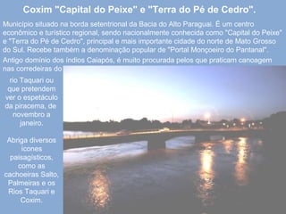 Coxim "Capital do Peixe" e "Terra do Pé de Cedro".
Município situado na borda setentrional da Bacia do Alto Paraguai. É um centro
econômico e turístico regional, sendo nacionalmente conhecida como "Capital do Peixe"
e "Terra do Pé de Cedro", principal e mais importante cidade do norte de Mato Grosso
do Sul. Recebe também a denominação popular de "Portal Monçoeiro do Pantanal".
Antigo domínio dos índios Caiapós, é muito procurada pelos que praticam canoagem
nas corredeiras do
rio Taquari ou
que pretendem
ver o espetáculo
da piracema, de
novembro a
janeiro.
Abriga diversos
ícones
paisagísticos,
como as
cachoeiras Salto,
Palmeiras e os
Rios Taquari e
Coxim.
 