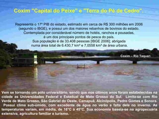 Coxim – Rio Taquari
Coxim "Capital do Peixe" e "Terra do Pé de Cedro".
Representa o 17º PIB do estado, estimado em cerca de R$ 300 milhões em 2006
(segundo o IBGE), e possui um dos maiores rebanhos de bovinos do estado.
Contemplada por considerável número de hotéis, ranchos e pousadas,
é um dos principais pontos de pesca do país.
Sua população é de 33.408 pessoas [IBGE 2006]; abrigada
numa área total de 6.430,7 km² e 7,0558 km² de área urbana.
Vem se tornando um pólo universitário, sendo que nos últimos anos foram estabelecidas na
cidade as Universidades Federal e Estadual de Mato Grosso do Sul. Limita-se com Rio
Verde de Mato Grosso, São Gabriel do Oeste, Camapuã, Alcinópolis, Pedro Gomes e Sonora.
Possui clima sub-úmido, com excedente de água no verão e falta dela no inverno. As
temperaturas variam, em média, de 16°C à 45°C. Sua economia baseia-se na agropecuária
extensiva, agricultura familiar e turismo.
 