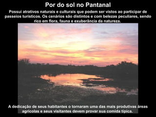 Por do sol no Pantanal
Possui atrativos naturais e culturais que podem ser vistos ao participar de
passeios turísticos. Os cenários são distintos e com belezas peculiares, sendo
rico em flora, fauna e exuberância da natureza.
A dedicação de seus habitantes o tornaram uma das mais produtivas áreas
agrícolas e seus visitantes devem provar sua comida típica.
 