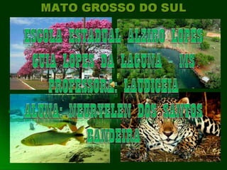 Poesia Mato Grosso do Sul