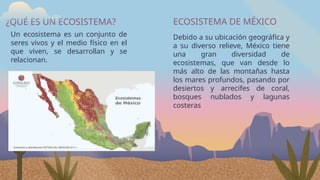 ¿QUÉ ES UN ECOSISTEMA?
Un ecosistema es un conjunto de
seres vivos y el medio físico en el
que viven, se desarrollan y se
relacionan.
ECOSISTEMA DE MÉXICO
Debido a su ubicación geográfica y
a su diverso relieve, México tiene
una gran diversidad de
ecosistemas, que van desde lo
más alto de las montañas hasta
los mares profundos, pasando por
desiertos y arrecifes de coral,
bosques nublados y lagunas
costeras
 
