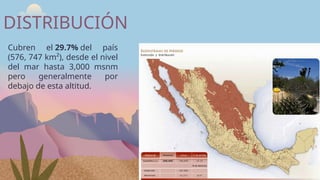 Cubren el 29.7% del país
(576, 747 km²), desde el nivel
del mar hasta 3,000 msnm
pero generalmente por
debajo de esta altitud.
DISTRIBUCIÓN
 