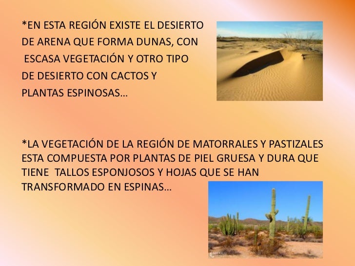 Matorrales y pastizales