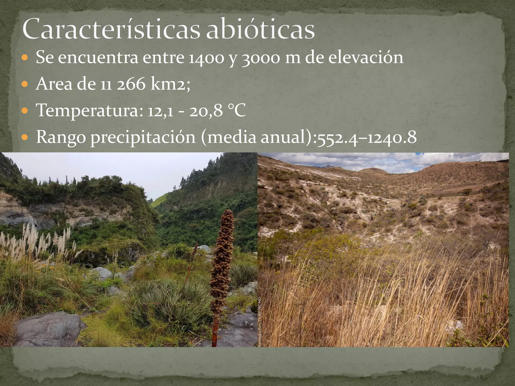  Se encuentra entre 1400 y 3000 m de elevación
Area de 11 266 km2;
Temperatura: 12,1 - 20,8 °C
Rango precipitación (media anual):552.4–1240.8