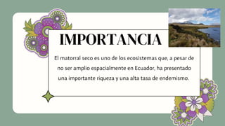 IMPORTANCIA


El matorral seco es uno de los ecosistemas que, a pesar de

no ser amplio espacialmente en Ecuador, ha presentado

una importante riqueza y una alta tasa de endemismo.




 