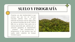 SUELO Y FISIOGRAFÍA
Presenta una alta biodiversidad lo que
provoca que sea rico en recursos
naturales además tiene una gran
extensión de bosque natural, según la ley
de reservas forestales (ley 2𝑎 de 1959) el
80% de su territorio hace parte de la
reserva natural del país, además por su
ubicación geográfica el departamento
presenta altas precipitaciones y
temperaturas lo que provoca que sus
suelos estén cubiertos de bosque
húmedo tropical.
 