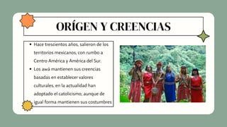 ORÍGEN Y CREENCIAS
Hace trescientos años, salieron de los
territorios mexicanos, con rumbo a
Centro América y América del Sur.
Los awá mantienen sus creencias
basadas en establecer valores
culturales, en la actualidad han
adoptado el catolicismo, aunque de
igual forma mantienen sus costumbres
 