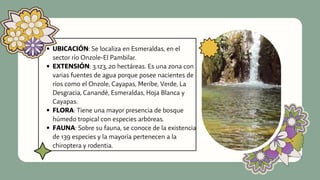 UBICACIÓN: Se localiza en Esmeraldas, en el
sector río Onzole-El Pambilar.
EXTENSIÓN: 3.123, 20 hectáreas. Es una zona con
varias fuentes de agua porque posee nacientes de
ríos como el Onzole, Cayapas, Meribe, Verde, La
Desgracia, Canandé, Esmeraldas, Hoja Blanca y
Cayapas.
FLORA: Tiene una mayor presencia de bosque
húmedo tropical con especies arbóreas.
FAUNA: Sobre su fauna, se conoce de la existencia
de 139 especies y la mayoría pertenecen a la
chiroptera y rodentia.
 