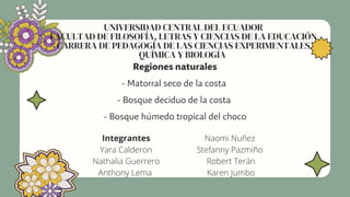 UNIVERSIDAD CENTRAL DEL ECUADOR
FACULTAD DE FILOSOFÍA, LETRAS Y CIENCIAS DE LA EDUCACIÓN
CARRERA DE PEDAGOGÍA DE LAS CIENCIAS EXPERIMENTALES
QUÍMICA Y BIOLOGÍA
Regiones naturales
- Matorral seco de la costa
- Bosque deciduo de la costa
- Bosque húmedo tropical del choco
Integrantes
Yara Calderon
Nathalia Guerrero
Anthony Lema
Naomi Nuñez
Stefanny Pazmiño
Robert Terán
Karen Jumbo
 