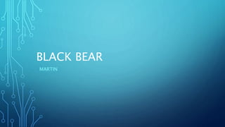 BLACK BEAR
MARTIN
 