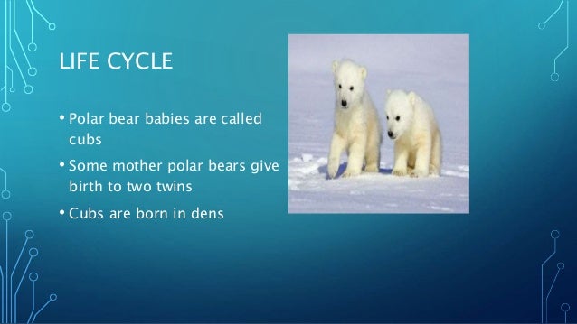 Matos Class Powerpoint Matos Class Powerpoint