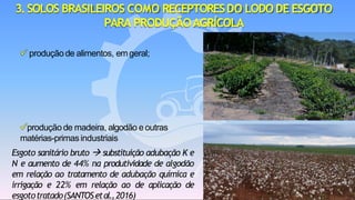 ✓ produção de alimentos, emgeral;
3.SOLOS BRASILEIROS COMO RECEPTORESDO LODO DE ESGOTO
PARA PRODUÇÃOAGRÍCOLA
✓produção de madeira, algodão e outras
matérias-primasindustriais
Esgoto sanitário bruto → substituição adubação K e
N e aumento de 44% na produtividade de algodão
em relação ao tratamento de adubação química e
irrigação e 22% em relação ao de aplicação de
esgototratado(SANTOSetal.,2016)
 