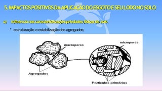 a) Influêncianascaracterísticas/propriedades físicasdo solo
* estruturação e estabilizaçãodosagregados;
5.IMPACTOSPOSITIVOSDAAPLICAÇÃODOESGOTOESEULODONOSOLO
 
