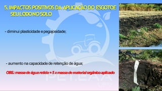 - aumento na capacidadede retenção de água;
OBS.:massadeáguaretida=5xmassadematerialorgânicoaplicado
- diminui plasticidade epegajosidade;
5.IMPACTOSPOSITIVOSDA APLICAÇÃODO ESGOTOE
SEULODONOSOLO
 