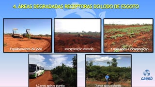 2. descarregamentode
lodo
Espalhamento do lodo Incorporação dolodo
1,2anos após o plantio 3anos após o plantio
1mês após aincorporação
4.ÁREAS DEGRADADAS RECEPTORAS DOLODO DE ESGOTO
 