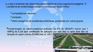 ➢ o solo é ambiente não adequado àsobrevivência de micro-organismosexógenos →
o problema de contaminação biológica é considerado pouco crítico:
* competição por alimento,
* predação;
* efeito antagônico de substânciasantibióticas, produzidas por outros grupos.
❖contaminação do capim-coastcross cultivado na ETE do DEA/UFV menor que 1
NMP/g de E.coli após paralisação da aplicação por sete dias ou após doze dias de
fenação do capim colhido (FONSECAet al.,2001) .
 