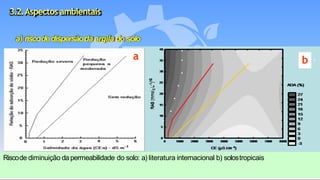 3.2.Aspectos ambientais
a) riscodedispersãoda argila do solo
Riscode diminuição dapermeabilidade do solo: a) literatura internacional b) solostropicais
a b
 