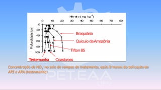 Braquiária
Quicuio daAmazônia
Tifton 85
Testemunha Coastcross
Concentração de NO3
- no solo de rampas de tratamento, após 8 meses da aplicação de
ARS eARA(testemunha).
 