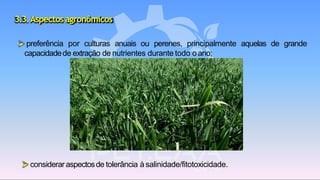 3.3.Aspectosagronômicos
aquelas de grande➢ preferência por culturas anuais ou perenes, principalmente
capacidadede extração de nutrientes durante todo oano;
➢ consideraraspectosde tolerância à salinidade/fitotoxicidade.
 
