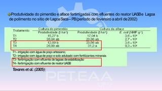 ❖Produtividade do pimentão e alface fertirrigadas com efluentes do reator UASBe Lagoa
de polimento no sítio de LagoaSeca– PB(período de fevereiro aabril de2002)
T1- irrigação com águade poço artesiano;
T2- irrigação com águade poço e solo adubado com fertilizantes minerais
T3- fertirrigação com efluente de lagoas deestabilização
T4- fertirrigação com efluente de reatorUASB
Tavares etal.(2005)
 