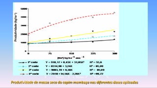 Produtividade de massa seca do capim mombaça nas diferentes doses aplicadas
Produtividade(kgha-1)
 