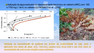 Variação na concentração de potássio em função da profundidade do solo, após a
aplicação das doses de duas (L1), três (L2), quatro (L3), cinco (L4) e seis (L5) vezes as
necessidades da culturaem relação aesse nutriente.
❖Aplicaçãoda águaresiduária do descascamentodosfrutos do cafeeiro (ARC),com 350
a1750 mg L-1de K,no cafeeiro (LOMONACOet al. , 2009)
 