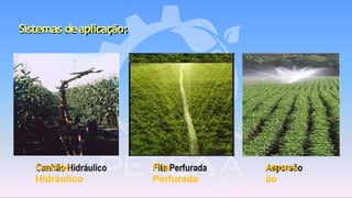 Canhão
Hidráulico
Fita
Perfurada
Sistemas deaplicação:
Aspers
ão
 